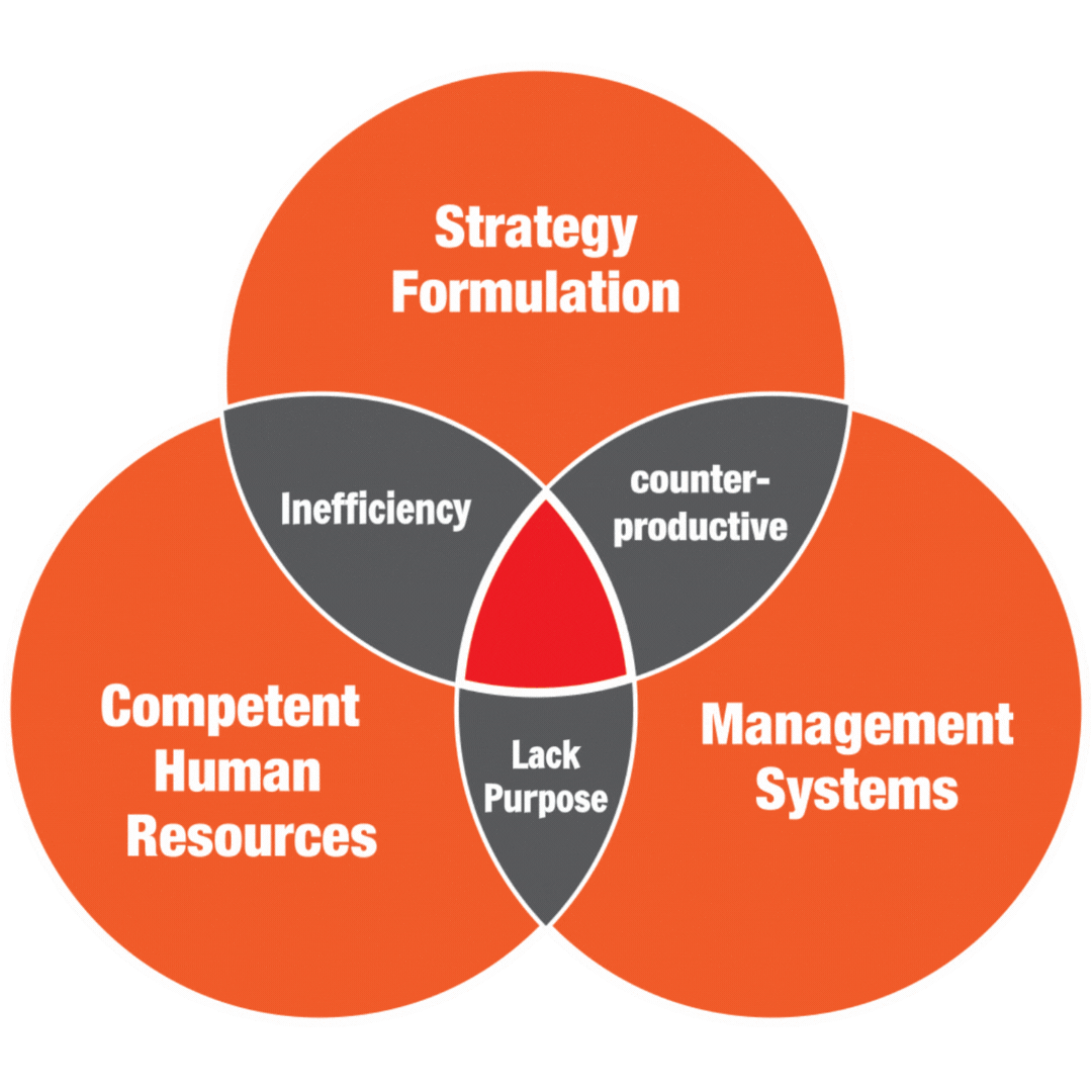 Animated Venn Diagram showing the intersection of Strategy Formulation, Competent Human Resource, and Management Systems